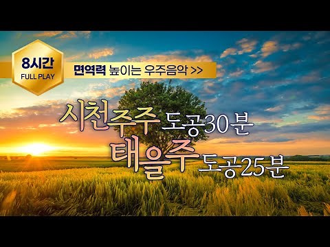 시천주주 태을주 도공수행 8시간ㅣ증산도 주문수행