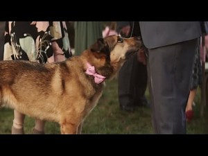 Stella & Chewy's Commercial 2022 All You Need Is Raw Manifesto Ad Review