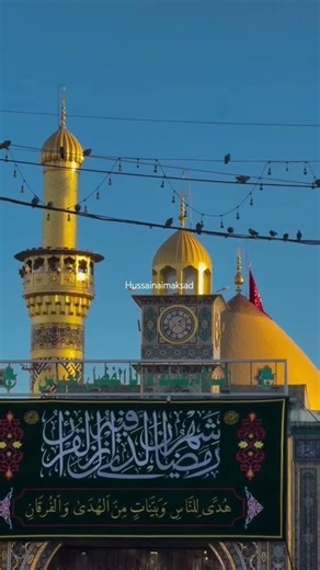 Zinda raha Zinda raha abbas alamdar noha Nadeem Sarwar #viralvideos #nadeemsarwar