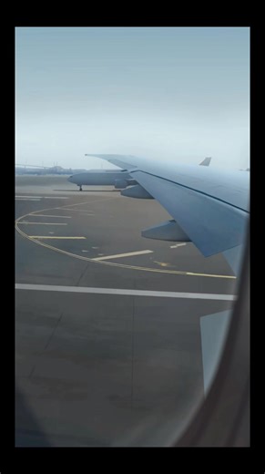 Redrawing My Wing Picture as an Animation