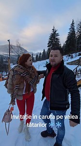 Cea mai luxoasă căruță ❄️😁 | Bogdan Sava