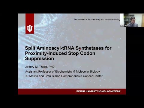 Split aminoacyl-tRNA synthetases for proximity-induced stop codon suppression