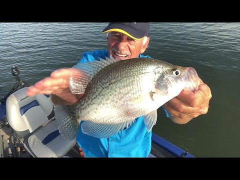 Crappie Fishing, Lake Murray & Lake Monticello, With A Ride Out.