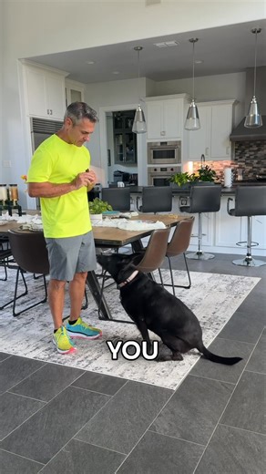 Start training your dog with the Best Dog Training App in the World! 🐶🐕 | Dog Training & Tips