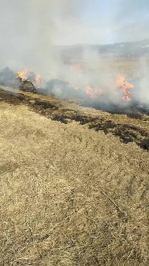 Firefighters Tackle Grassy Field Blaze with Fire Truck
