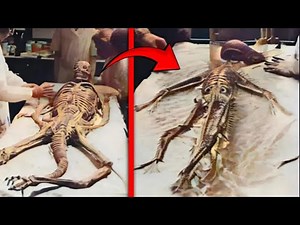 They Didn't Know A Camera Was Watching Them!