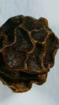 This rough dark surface under the microscope 👀