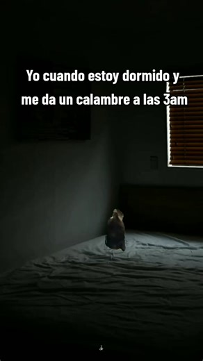 Gato Gritando y Memes Divertidos: Risas Aseguradas