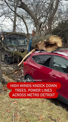 🚨High winds moved through Metro Detroit on Friday, bringing down trees and power lines and causing damage in several areas across the region. Read more: https://themetrodetroitnews.com/high-winds-knock-down-trees-power-lines/ | Metro Detroit News