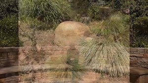 The National AIDS Memorial Grove in SF’s Golden Gate Park : a beautiful space for healing, hope and rememberance https://bit.ly/4i2Fs4M | queerguru