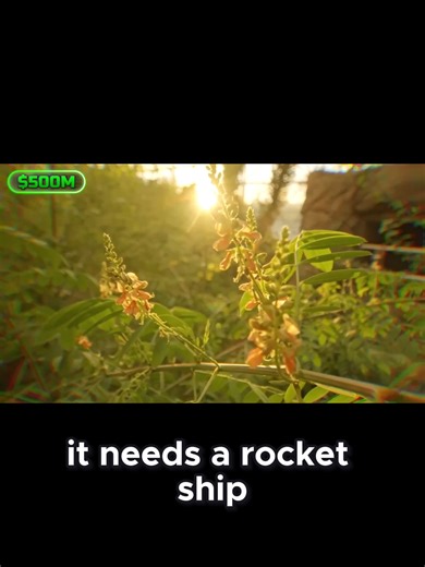 Get an exclusive look inside SpaceX’s billion-dollar Starship factory, where rockets for Mars are built. This clip is a thrilling peek into the future of space travel and human expansion beyond Earth. Perfect for space fans and tech lovers. Share to feel the thrill of interplanetary life in SpaceX’s Starship and Mars mission atmosphere tech #spacex #Starship #MarsMission #spacetoday #Spacetech