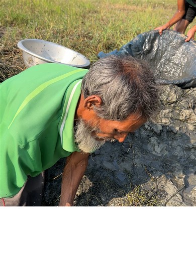 Old Man Catching Fish with Hands from the Mud 🐟🤲#fish #catchfish #fishing #fishinglife