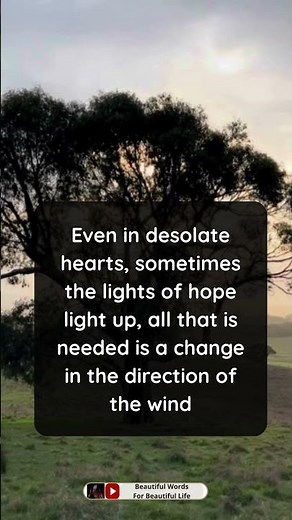 Heart Touching Words | Beautiful Words For Beautiful Life | #hearttouchingwords #englishquotes