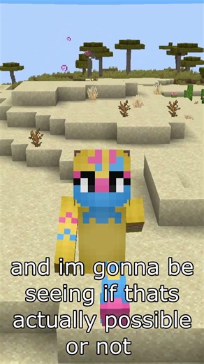 Can you still get SOFTLOCKED in Minecraft's end?