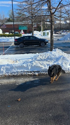 We open at 4.30 just for drinks you can bring your own food if you'd like. Just finished shoveling the parking lot | Molloy's Irish Pub