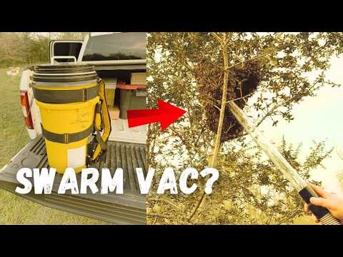New Bee Vac Makes Swarm Catching Easy