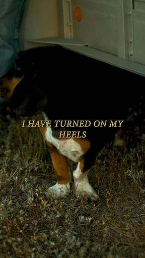 Hard to sing a sad song and look at a hound at the same time. Watch the full video on YouTube here: https://youtu.be/6VGy3fHlUI8?si=6wMl5di1A2TiCPO4 | Colter Wall