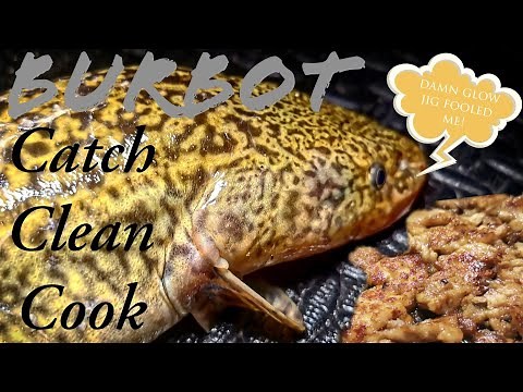 Burbot: Catch, Clean, Cook (Alberta's Best Tasting Fish)