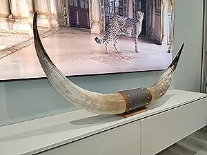 Authentic Large Chunky Real Bull Longhorn Leather Horn Mount - 47" to 50" - Steer Horns Truck Wall Hangings and Wall Decor, Truck Bull Horns