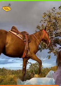 6.8M views · 157K reactions | Rodeo Gone Wrong! | Wild Kingdom Chronicles | Facebook