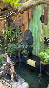 53K views · 639 reactions | Menu makan burung yg ada di aviary.. #kicaumaniaindonesia #aviarybirds #starbluekicau | Hendry Starblue | Facebook