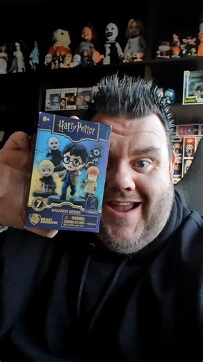 Harry Potter "Wizard Series" Beast Kingdom Mystery Figure Unboxing