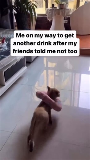 Lansa Fernandez on Instagram: "Cause at the end of the day, I’m grown and do what I want 😭😂😂"