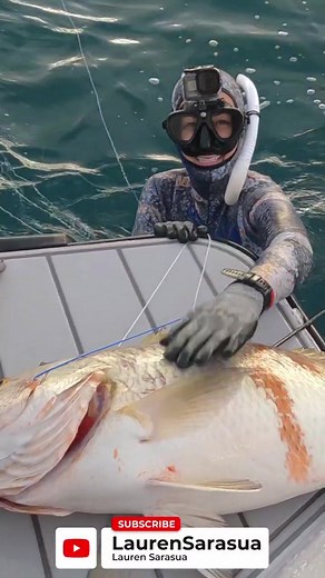 Hunting Big Fish Around Aggressive Bullsharks! #spearfishing #freediving #cuberasnapper #cubera #fishing #onebreath