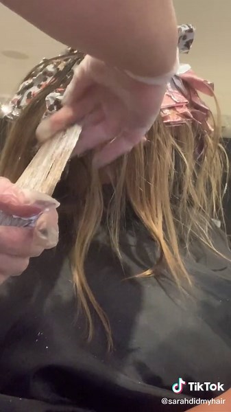 Balayage Hair Brush Technique