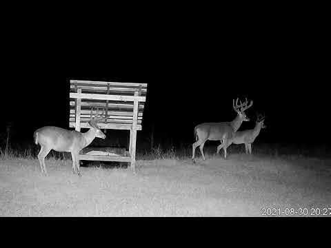 North Carolina Field Cam Live Stream