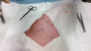 The Shorthand Vertical Mattress Suture