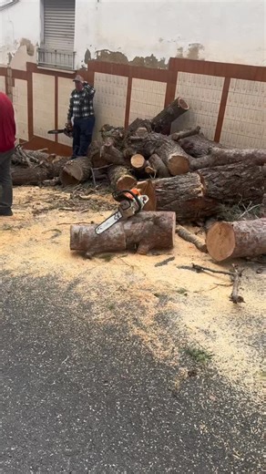 Arranquem!!! Amunt la foguera!!🔥🐷 Hui el ‘Bario’ obri oficialment les portes a tota Albaida per a gaudir de la nostra festa gran!! Vos esperem!! Visca el pare Sant Antoni!! #santantonialbaida #foguera #santantonialbaida26 #previa | Ross Porta