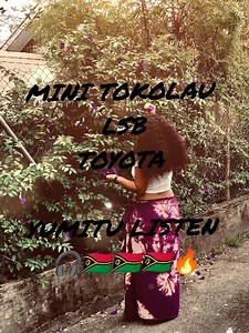 17K views · 313 reactions | #MINI_TOKOLAU_LSB TITLE :#TOYOTA #STRIN_BAND_LOVERS YUMI GO BACK LO BEFORE... #YUMITU_LISTEN | JAY'S VIBEZ | Facebook