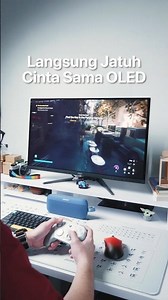 Monitor OLED Paling Murah??