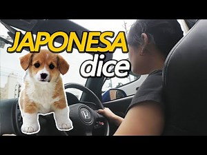 JAPONESA COMPARA el MAZDA MIATA vs HONDA S2000