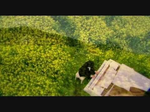 Vals de primavera ( 봄의 왈츠) - Hermoso Secreto (아름다운 비밀). Sub Español & Coreano