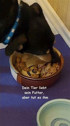 Ist dein Futter wirklich gut oder nur lecker?