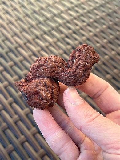 Fossilized Coprolite From Madagascar | Real Dinosaur Poop, Petrified Dino Feces, Jurassic Fossil Specimen - Etsy