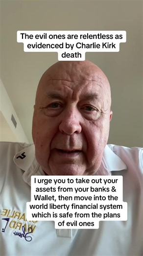 Understanding the World Liberty Financial System