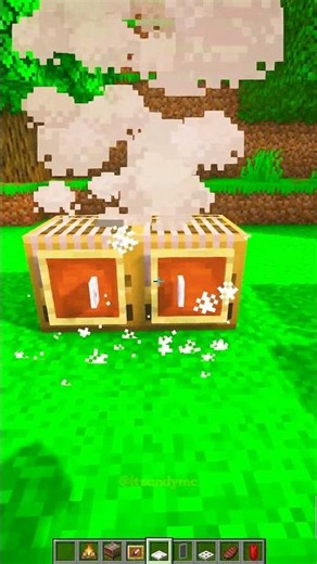 Minecraft BBQ Grill 😎