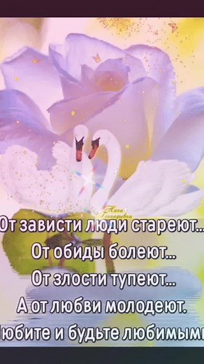 Tanyushka 441 на TikTok