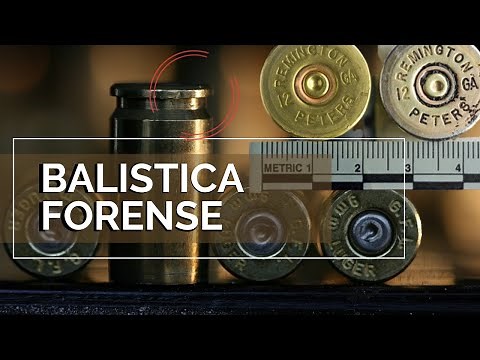 Balística Forense - ¿que es? y como se divide