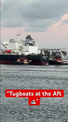 Tugboats in Action – Guiding a Giant Cargo Ship