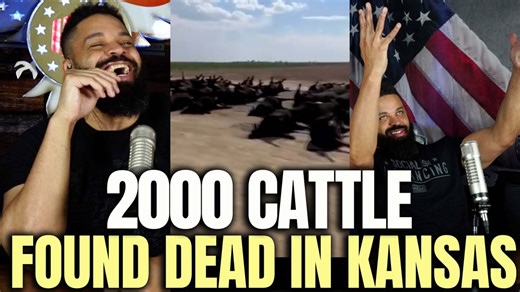 98K views · 2.6K reactions | 2000 Cattle Found Dead In Kansas | The Hodgetwins | Facebook