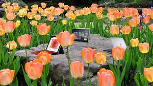 The Windows laptop guide: Spring 2015