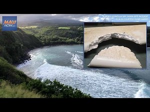 Shark Attack at Honolua Bay, Maui - Dec. 8, 2020