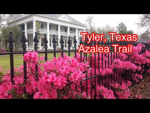 Tyler, Texas Azalea & Spring Flower Trail | Visit Tyler East Texas tour