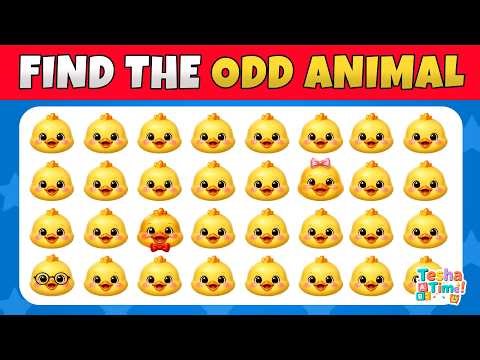 Find The Odd Animal: Only 1% Can Pass This Test! 🧐