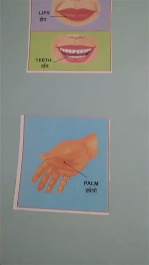 CHART OF BODY PARTS CLASS 1st #biology #bodyparts #class1st #summervacation #chartpaper #evs