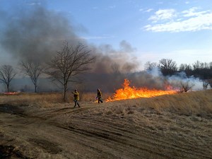 Annual forest fire mitigation program is underway in N.J.